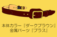 ��������ʂ�