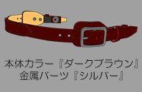 ��������ʂ�