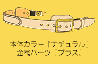 ��������ʂ�