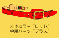 ��������ʂ�