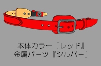 ��������ʂ�