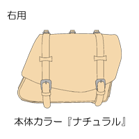 ��������ʂ�